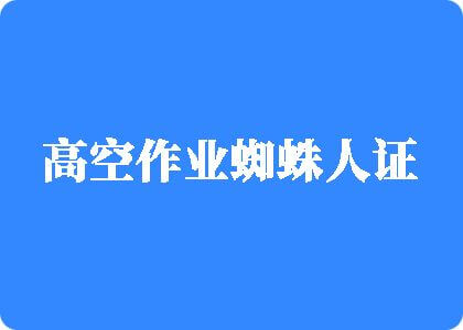 国产一级D片高空作业蜘蛛人证